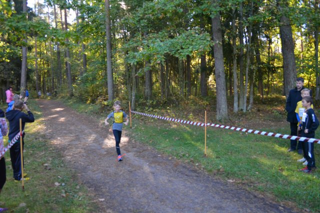 Rudens kross 2015